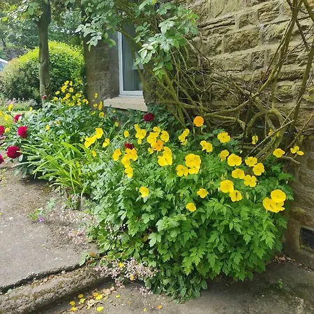 Mayfield Cottage Burtree Ford Exterior photo