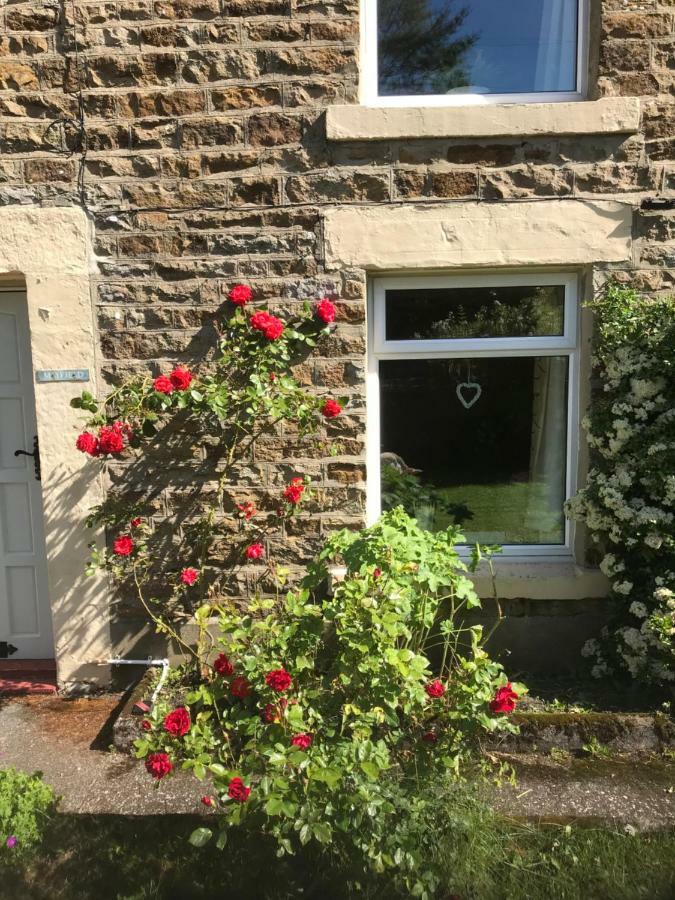 Mayfield Holiday home